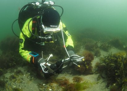 SUBNORDICA tweet media
