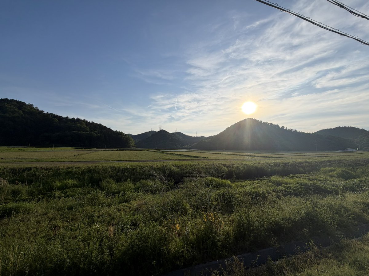greenyanaken's tweet photo. 僕夏の世界観に紛れ込んでしまったのでしょうか。
いいえ、新しい勤務先です。 https://t.co/kfVPT0Iphb
