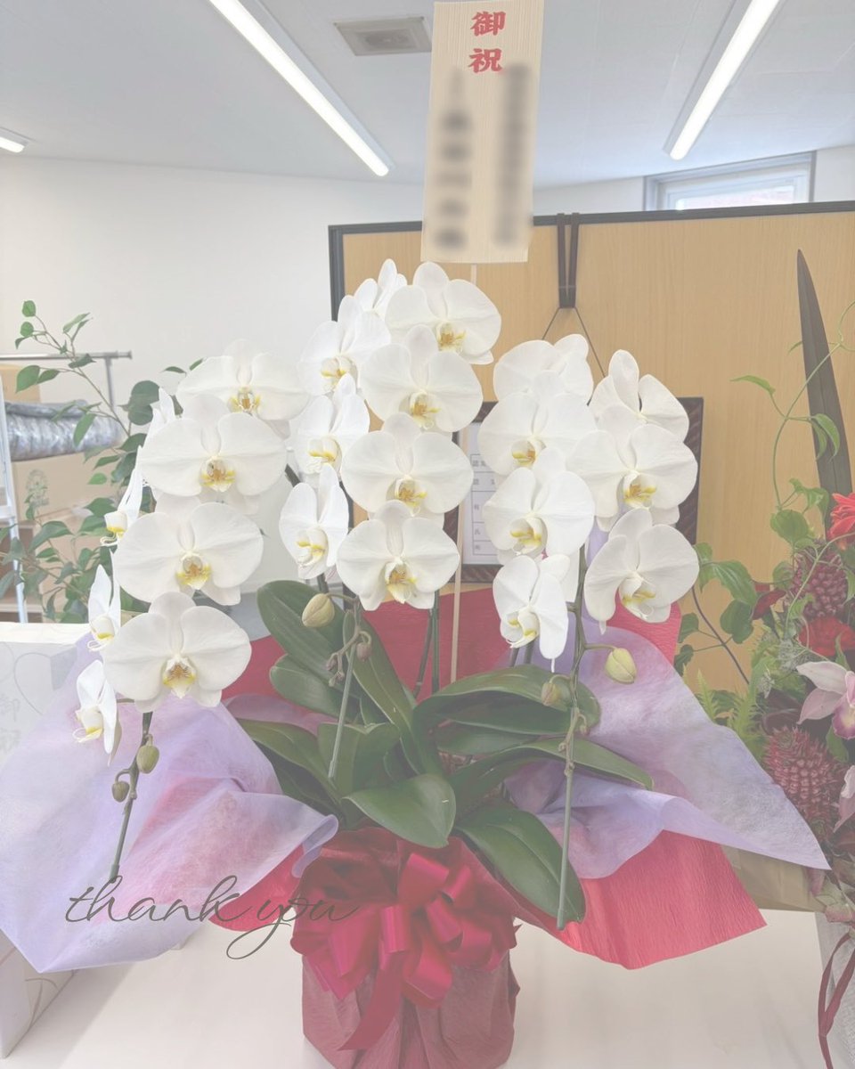 daiko324's tweet photo. 令和8年度決起会とグループ会社「ノースシールド株式会社」開業祝賀会を開催致しました！

北海道の警備業界を盛り上げるべく、今年も全力で走って参ります🔥

現在8名体制でスタート！
DX・AI活用を推進し、北海道に新しい旋風を巻き起こして参ります！

Instagram▶︎ https://t.co/AiHhAr3Cxy https://t.co/n1qmVe1XtM