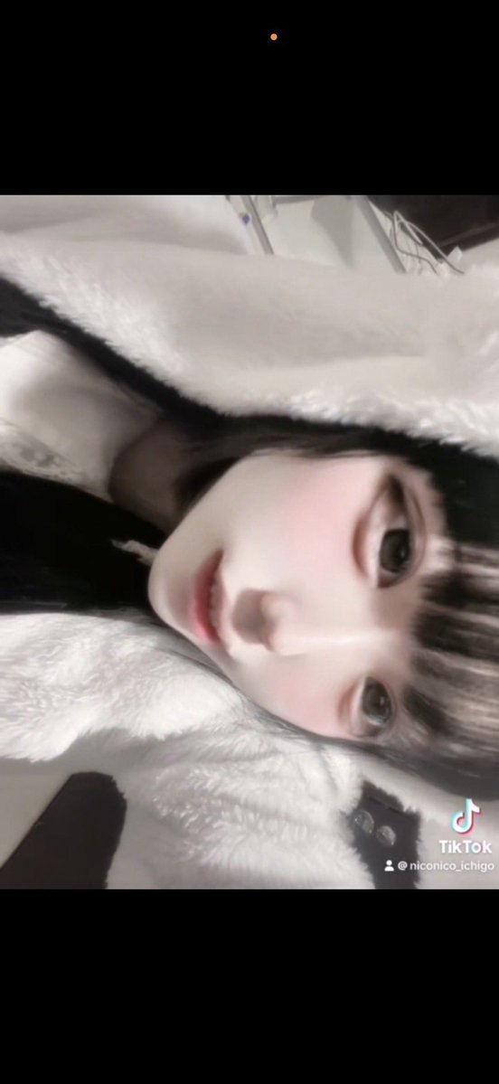 萌酒の家出日記 tweet media