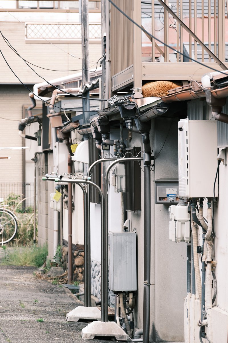 小林哲朗　写真家 tweet media