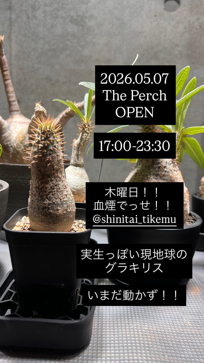 The Perch tweet media