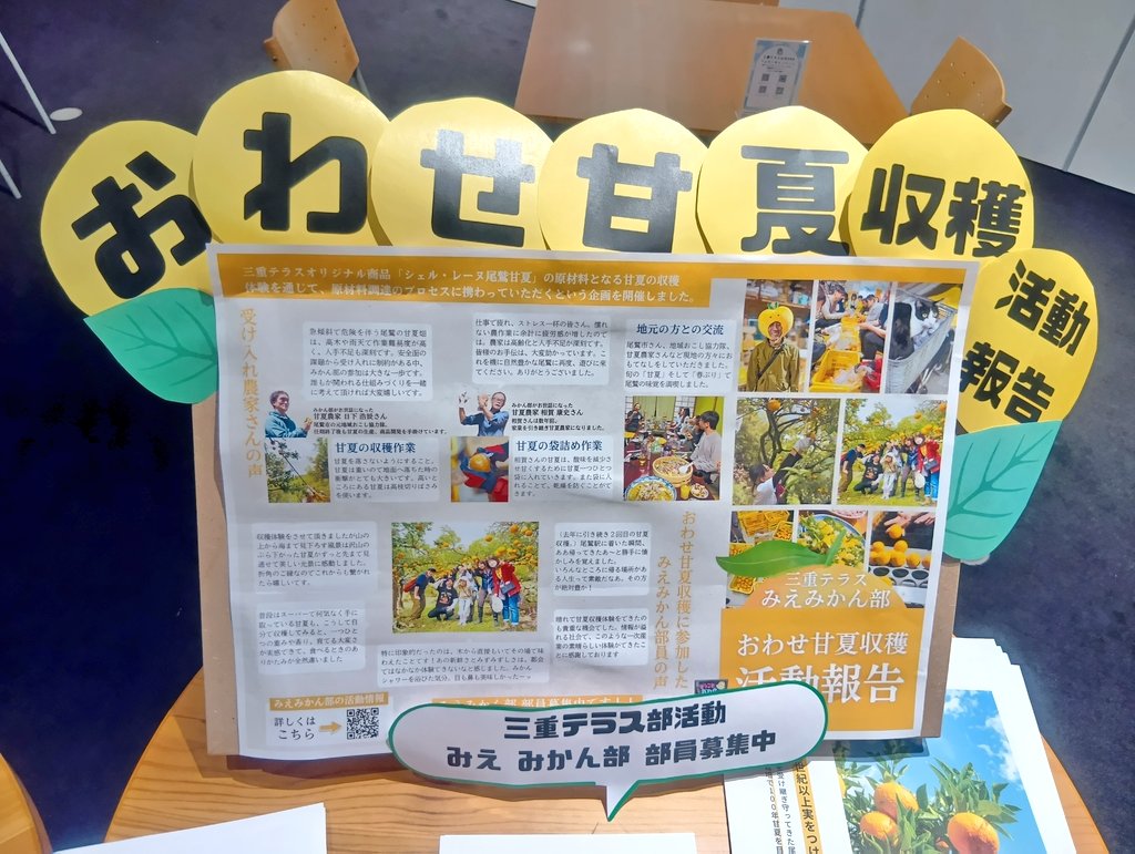tumsatcooking's tweet photo. 先日、三重テラス @mie_terrace のイベント「おわせ甘夏しぼり体験」に行ってきました〜🍊
先月開催された春ぶりの新歓の際、実は三重テラスの職員様より甘夏のジュースを差し入れていただいており、今度は部員自らがジュースを作ってみました♪
酸味もありますが甘みが強く、おいしかったです😋 https://t.co/1hVEnlBu8E