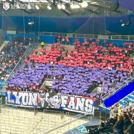 6_LM9 ❤️💙🦁 tweet media
