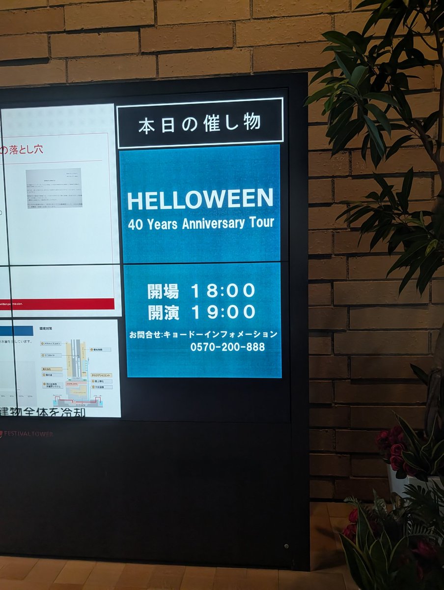 yui_0709's tweet photo. 大阪！ https://t.co/DjSQ5LiH9x