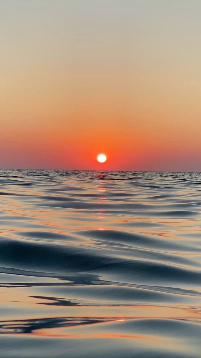 HeavenOnEarth tweet media