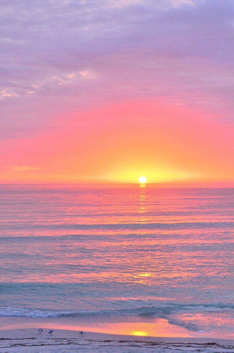 HeavenOnEarth tweet media