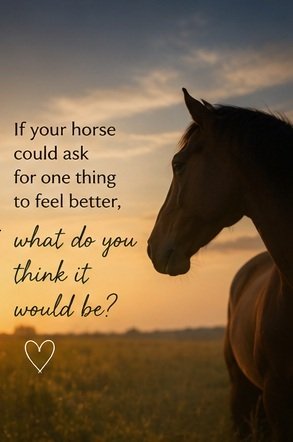 HoofInHand's tweet photo. Horses communicate in so many quiet ways. Sometimes through tension, behaviour changes, restlessness, or simply seeming a little disconnected from themselves.

Taking the time to pause, listen, and support them holistically can make such a difference to their wellbeing. https://t.co/y6JnRuVrzi