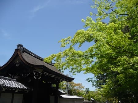 天皇の使者である勅使が通る勅使門を持つお寺が京都市内にいくつかあります。
普段は閉ざされていて一般の参拝者は通行不可。
たまに誰でもくぐれる勅使門があったりします。
写真は、妙法院、建仁寺、大覚寺、南禅寺の勅使門。
kyotohotelsearch.com/blog/2026/05/0… #勅使門 #京都観光 #kyoto