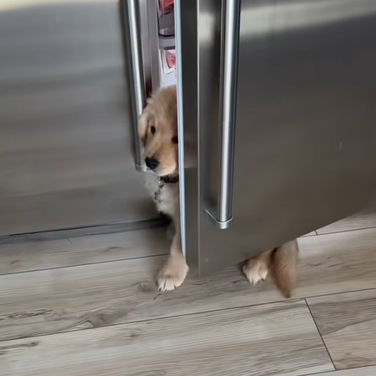 ไม่มีใครเหนชั้นหรอก ชั้นตุวเร้กนิดเดว