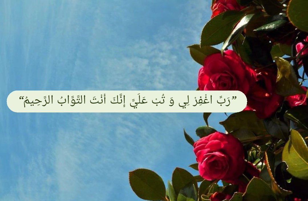HzMektebi's tweet photo. İbn Ömer Radıyallahu Anh dedi ki:
“Rasûlullah ﷺ'in; bir mecliste, yüz defa «Rabbim! Beni bağışla ve tövbemi kabul et. Şüphesiz ki sen, tövbeleri çokça kabul eden ve çok merhamet edensin» dediğini sayardık”

—Müslim 2027 https://t.co/zvfXGgu5Nm
