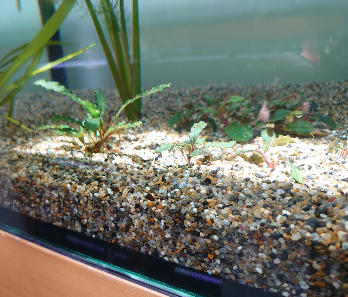 Silent aquarium (@silent_aquarium) / Posts / X