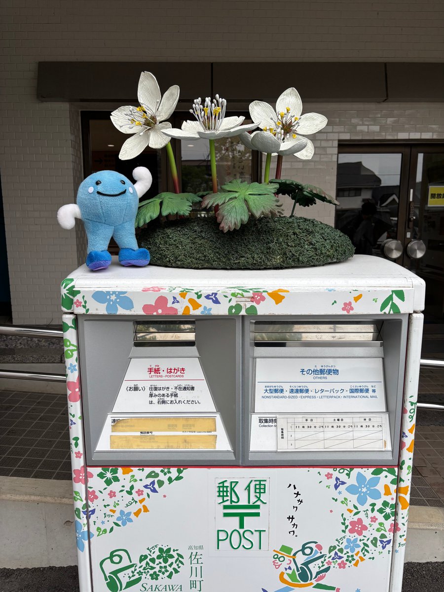 かわいい #ポスト を見つけたよ📮
牧野冨太郎博士が愛した植物のひとつ、
「バイカオウレン」がモチーフなが🩵