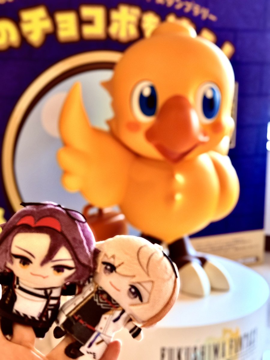 雪珂 tweet media