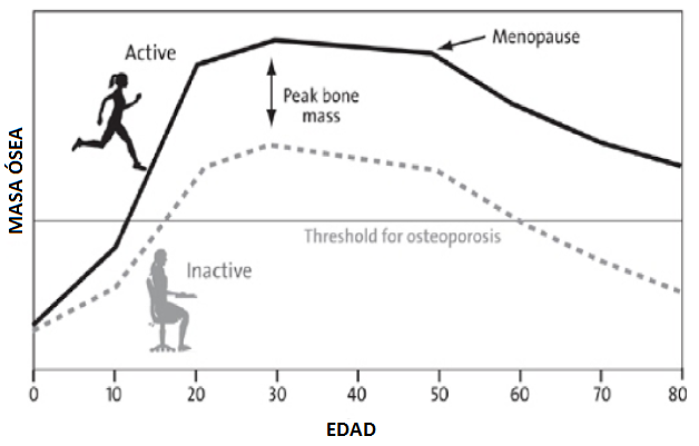 El papel del ejercicio en la prevención de la #osteoporosis.  
👉 La progresiva introducción del entrenamiento de fuerza y cardiovascular provocará los estímulos deseados para un adecuado mantenimiento óseo en la edad adulta.
medspine.es/osteoporosis-d…