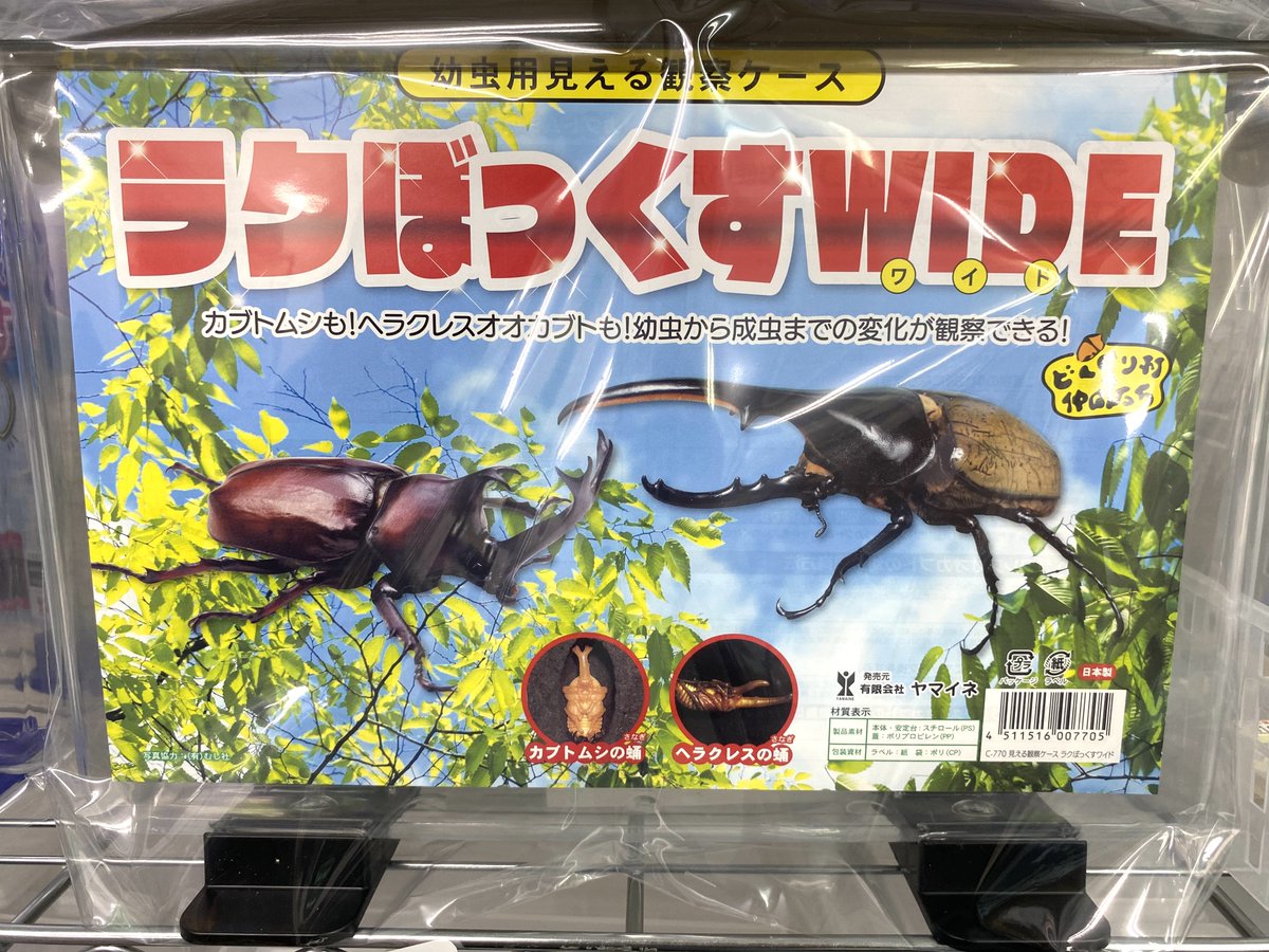 入荷情報】 ・ラクぼっくすWIDE ・ラクぼっくす ・のぼり木 ・AJITO