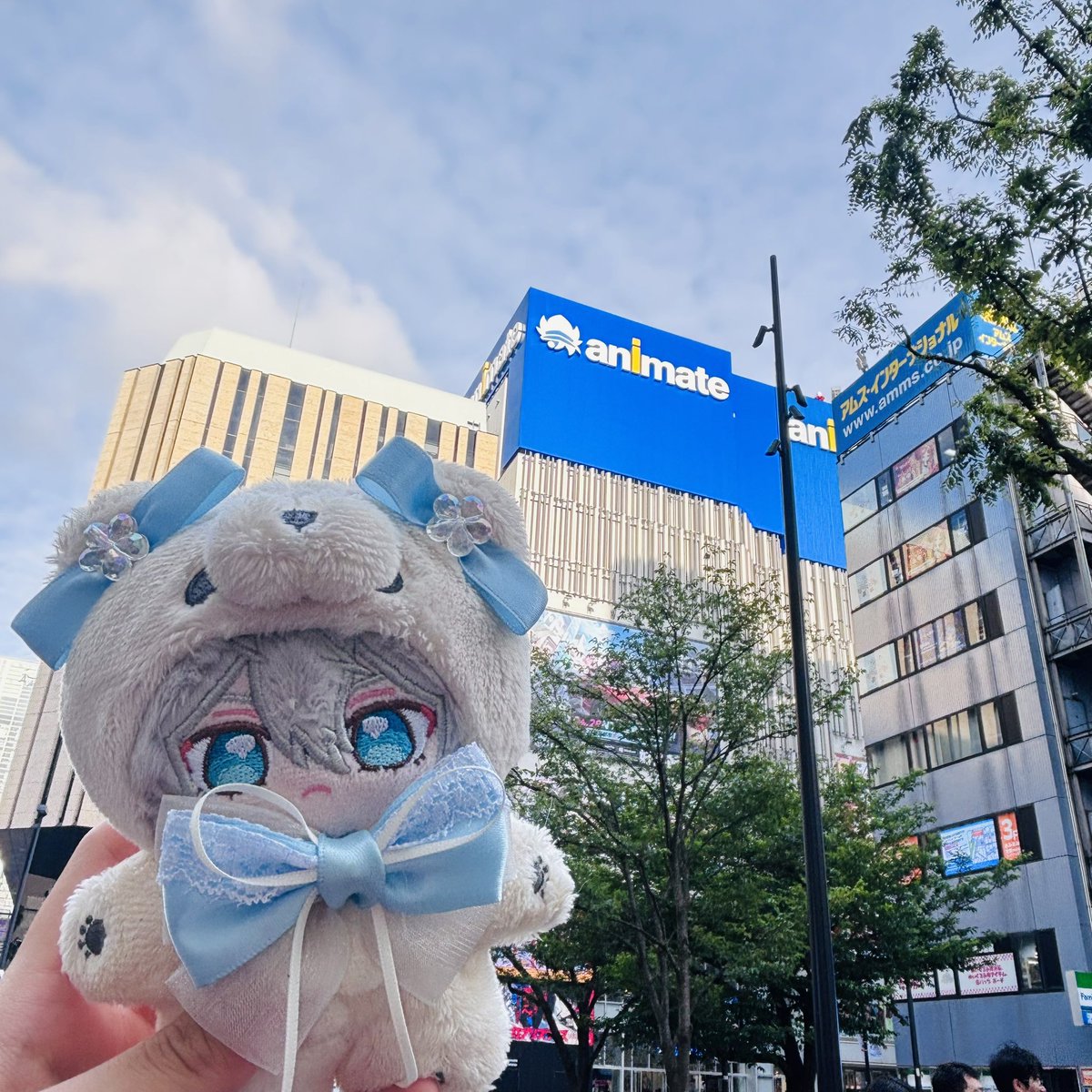 ひつじ🐑 tweet media