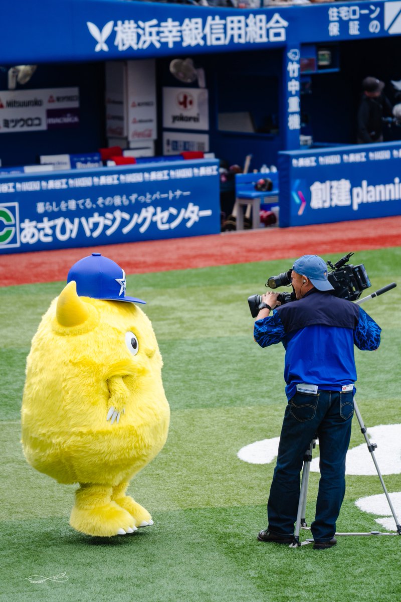 260506 横浜スタジアム カメラ大好きチャピーちゃん #チャピー