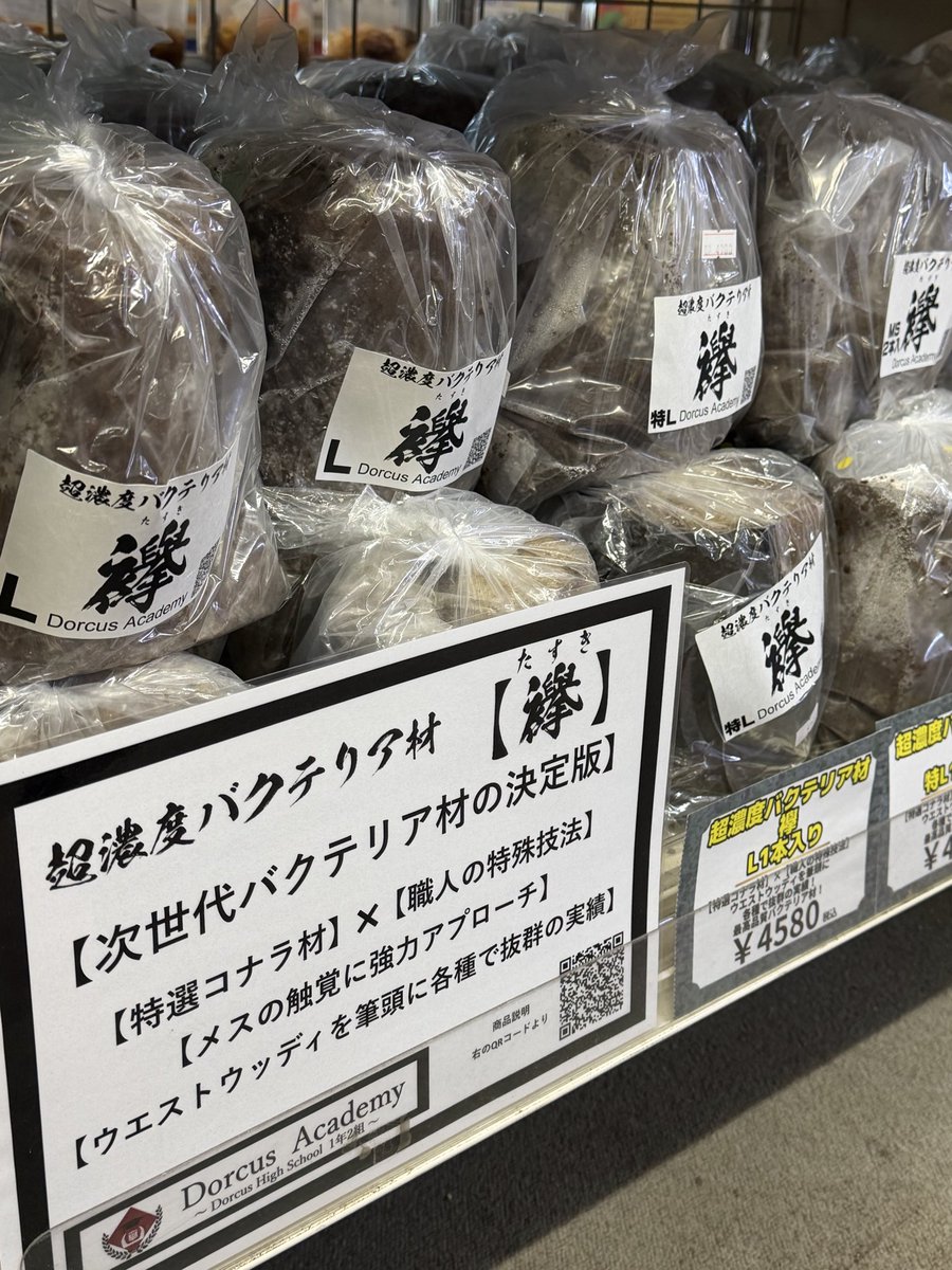 kuwakabuplanet's tweet photo. ウエストウッディ原名亜種85.5入荷しました。
大変お得な2メス付き‼️
77UPペアも2ペア販売中。
産卵はバクテリア材[襷]、幼虫飼育はオリジナルカワラ菌糸で育ちました。
是非チャレンジしてみて下さい。
https://t.co/KkdwqQ2oO1 https://t.co/WwTHtAM3tr