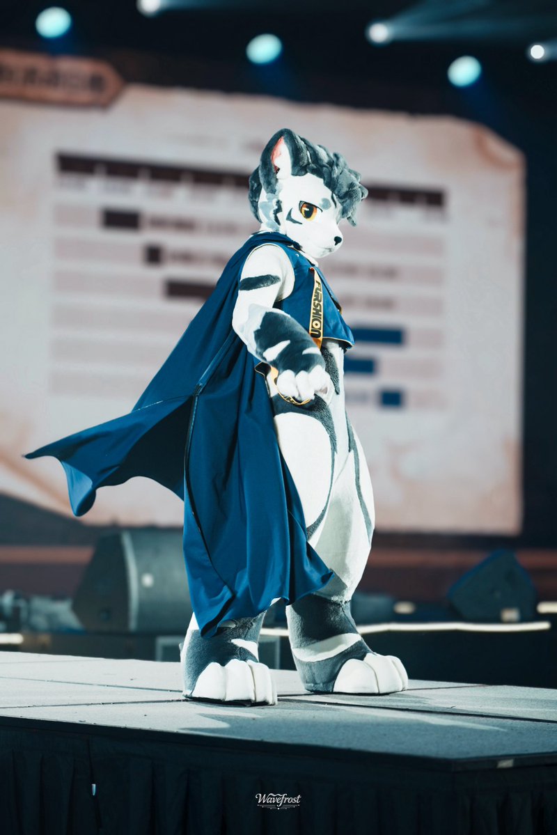 gintanさん 银碳Gintan (@FurryGintan) / Posts / X