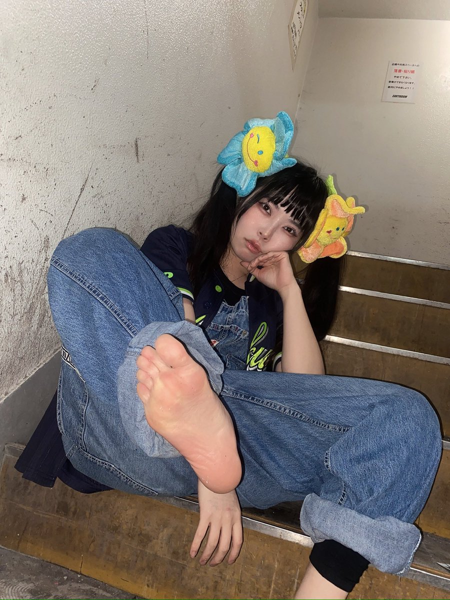🐱やわらぎめんま🐱POPPY(猫) tweet media