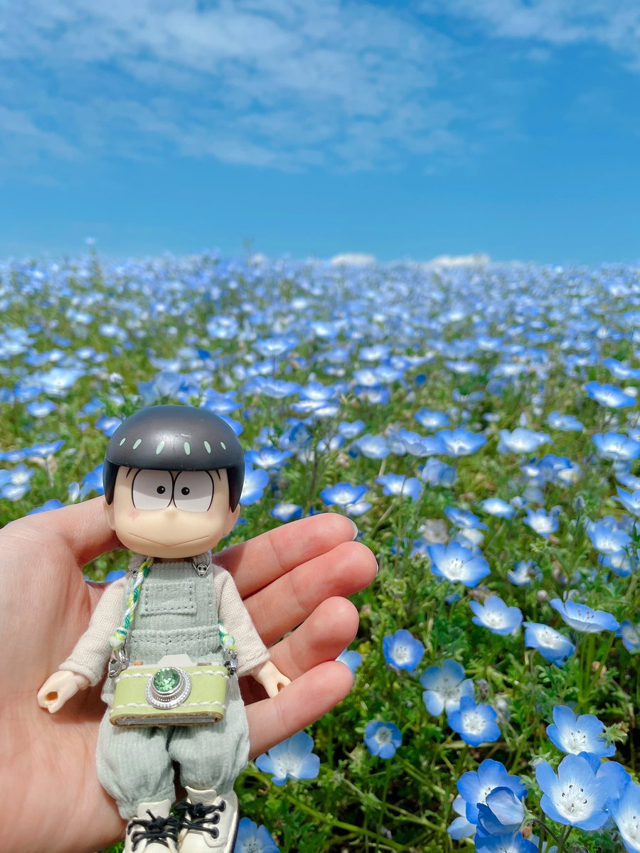 抹茶🍃 (@maccya000) / Posts / X