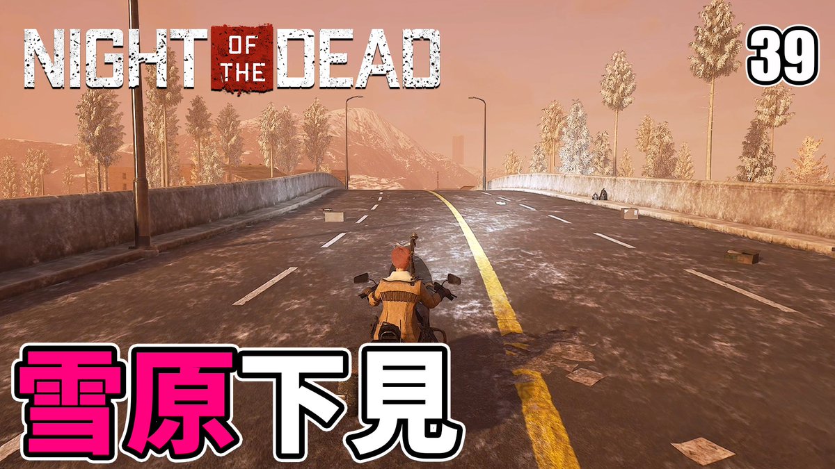 カリパイ tweet media