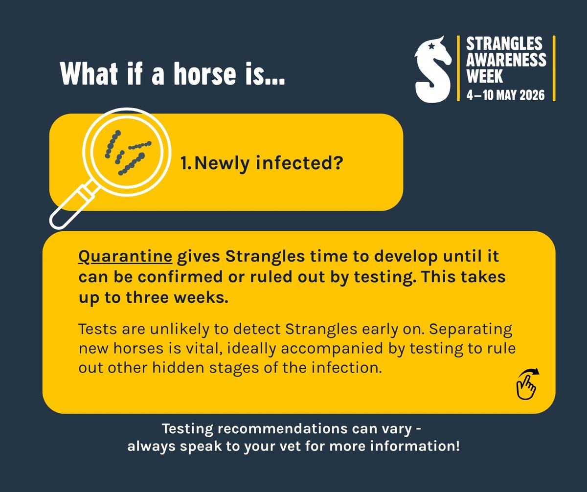 NationalEWC's tweet photo. 🐴 Using sensible precautions when welcoming new horses is one of the BEST ways to protect a yard from #Strangles. But what are the risks, and which steps can guard against them? 🤔

#StranglesAwarenessWeek’s quick guide is here to help! ⏩

#SAW26 #SimplyTheBEST https://t.co/pEU59mlgC0