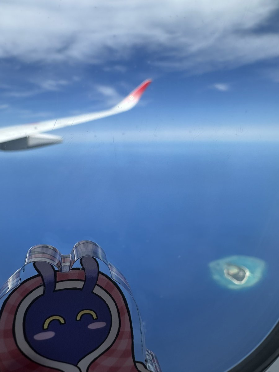 おふとん🏝 tweet media