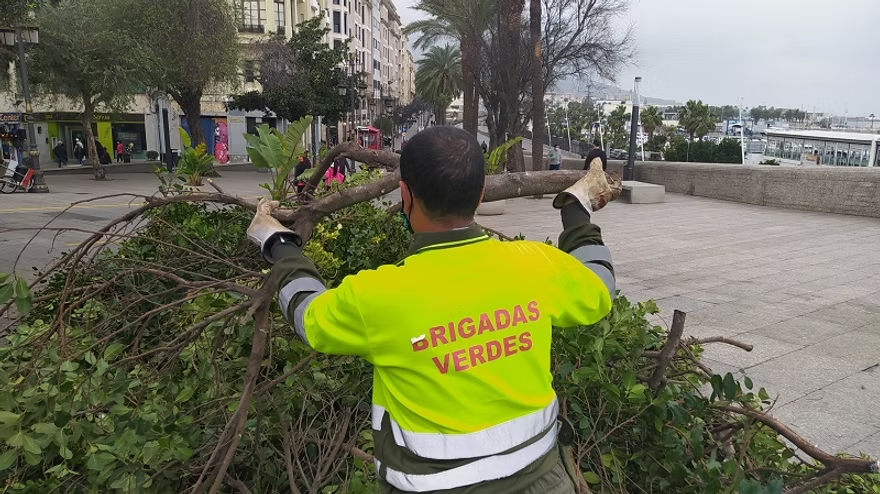 MDyC_CEUTA's tweet photo. 🍃#BrigadasVerdes formará parte de #ACEMSA desde el próximo 1 de septiembre
El objetivo del @MDyC_CEUTA siempre ha sido dar estabilidad a estas 120 familias 👷♂️👷♀️
https://t.co/z13paYwDbs https://t.co/0yZYZxl3Fa
