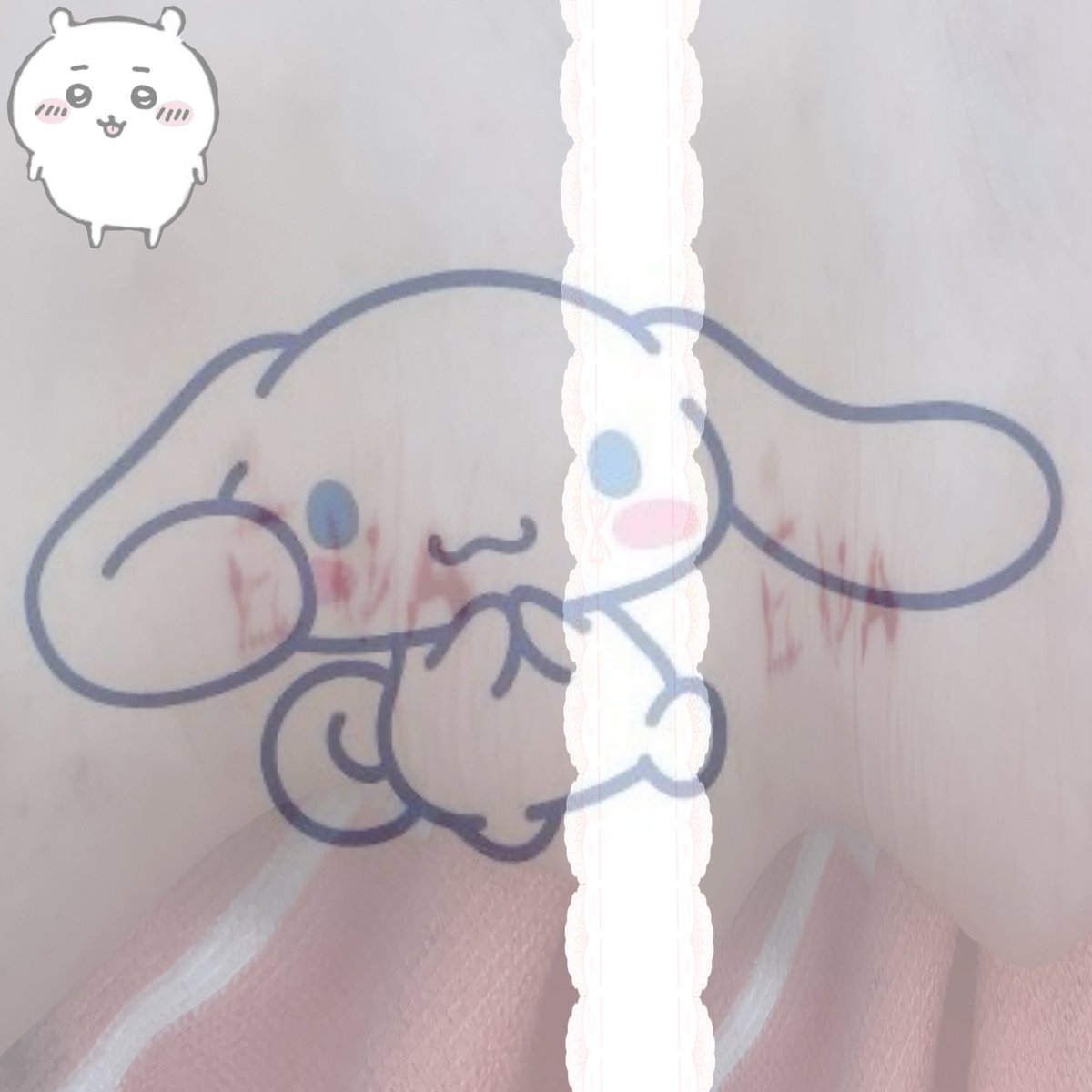 🐨 .ᐟ 𓂃 wild of shtwt ✦・ tweet media