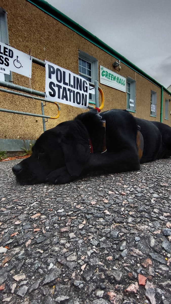 Revinthenorth's tweet photo. veni vidi vici voted.
Sirius deciding which party will give more gravy bones.
@Votingdogs
#DogsAtPollingStations https://t.co/LmvhqyGJCp