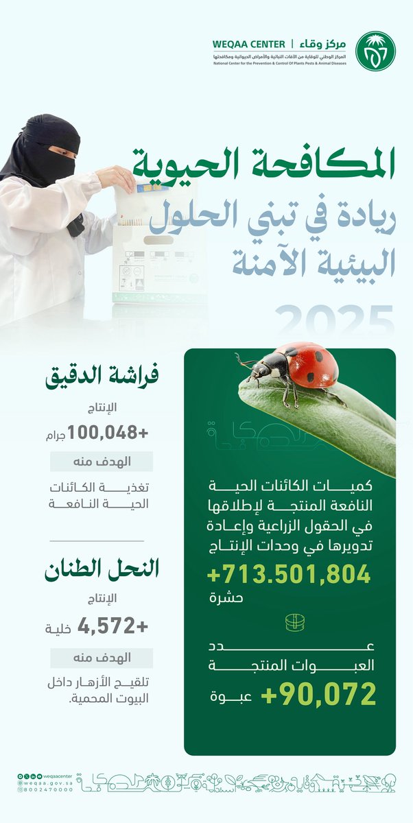 WeqaaCenter's tweet photo. #وقاء_في_أرقام | يعتمد مركز #وقاء على الحلول الطبيعية والمستدامة لحماية المحاصيل، حيث أنتج المركز من خلال ذراعه الحيوي مركز التقنية الحيوية لحماية النباتات خلال عام 2025م أكثر من 600 مليون من الكائنات الحية النافعة لإطلاقها في الحقول الزراعية. https://t.co/sFfYzIyjvd