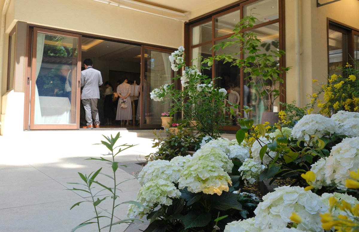 flowers_diary's tweet photo. 連休中に生命農学科一期生の結婚式に出席してきました。会場は都心のレストラン。アジサイやニチニチソウが綺麗に咲いていましたよ。かなり手入れが行き届いている様子でした。結婚されたお二人も心のメンテを怠らず，末永くお幸せに！！ https://t.co/06nbvPzWdr