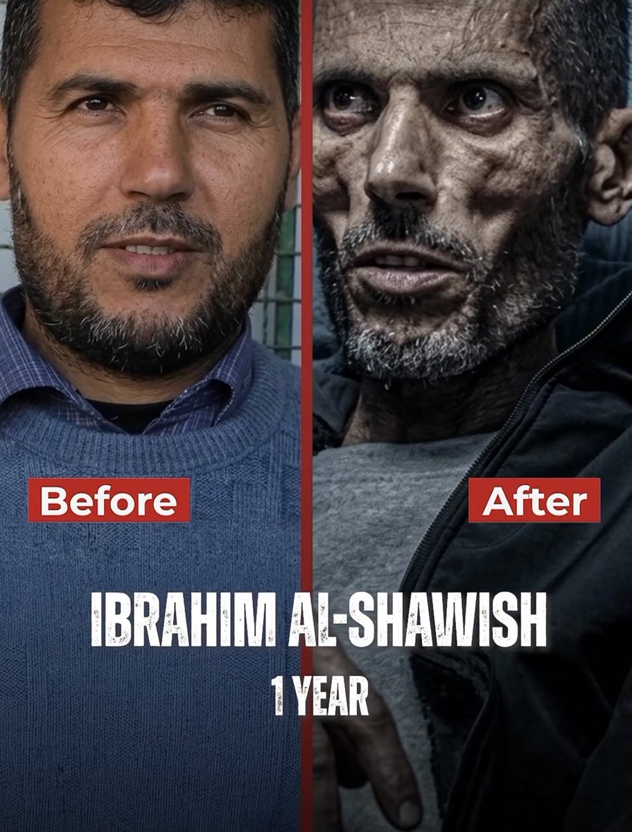 Ahmed Ashour 𓂆🇵🇸 tweet media