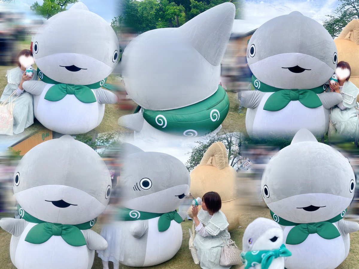 s_mile__28's tweet photo. 馬事公苑のJRAホースショー🐎にて子ザメちゃんたちとグリしてきた🦈🐰💡
子ザメちゃんは約1年ぶりでうさめちゃんとあんこうちゃんはやっと初めましてできました🫶🏻🤍
みんないっぱい構ってくれて嬉しかった！ありがとう( ˶'ᵕ'˶ ) ❤︎𓈒𓏸︎︎︎︎

#おでかけ子ザメ @kozame_info 
#JRAホースショー https://t.co/867dTmCd69