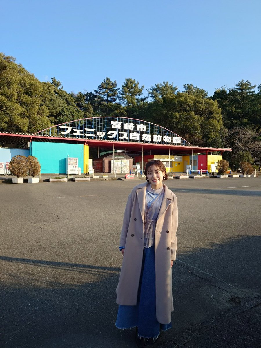 ケラスス tweet media