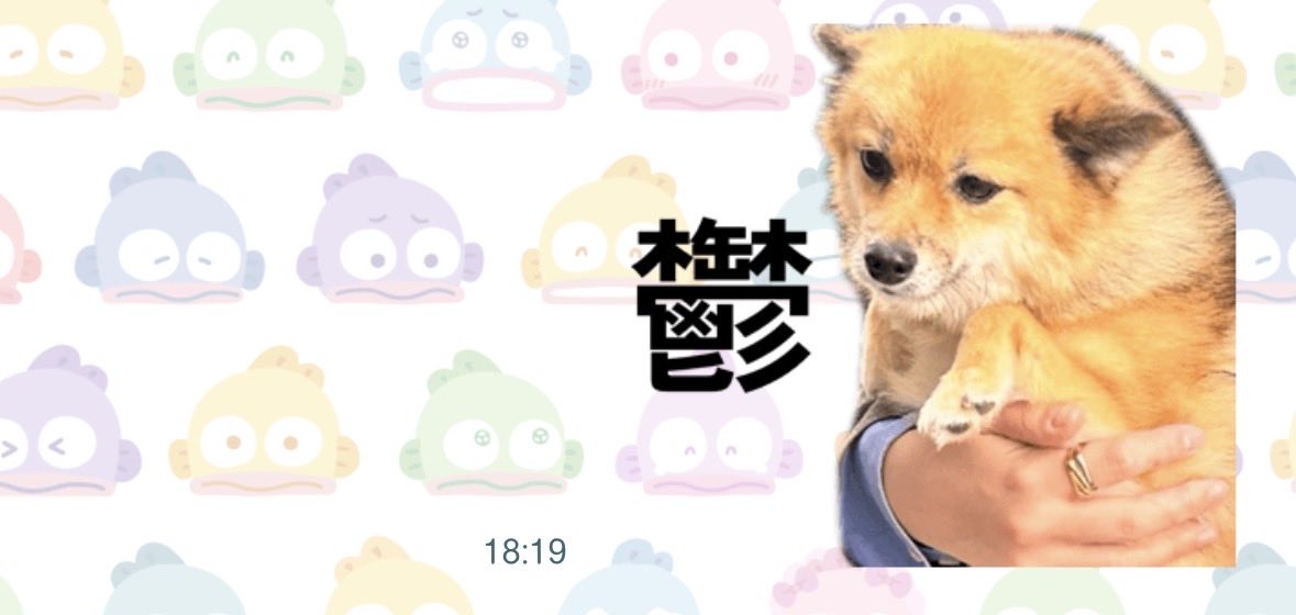 ちびにゃんこ様♡ありがとうございます♡