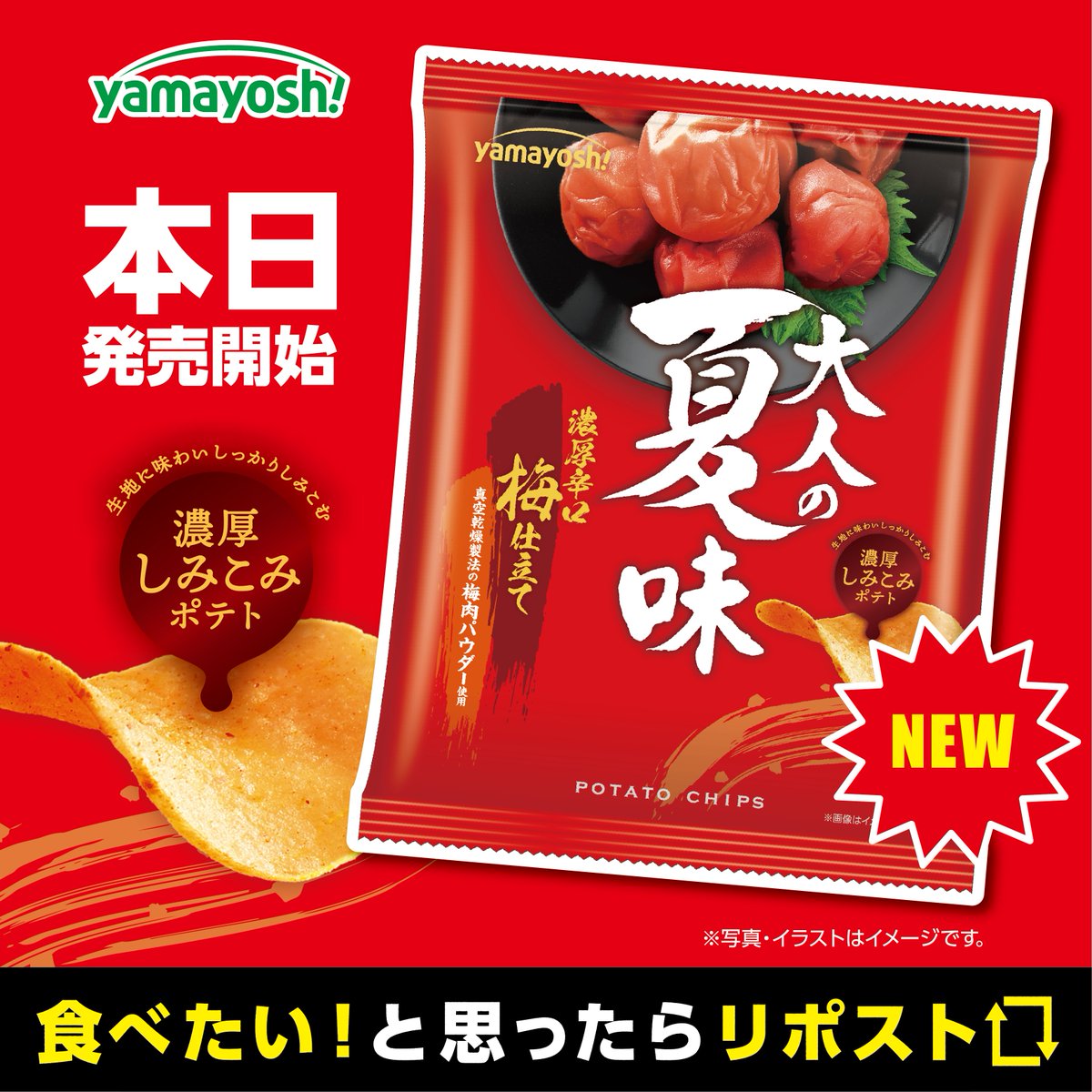 山口の隠し味公式アイコンw 今年もやります！ 大人のための刺激的な濃厚梅🔴のおいしさ！ 【NEW