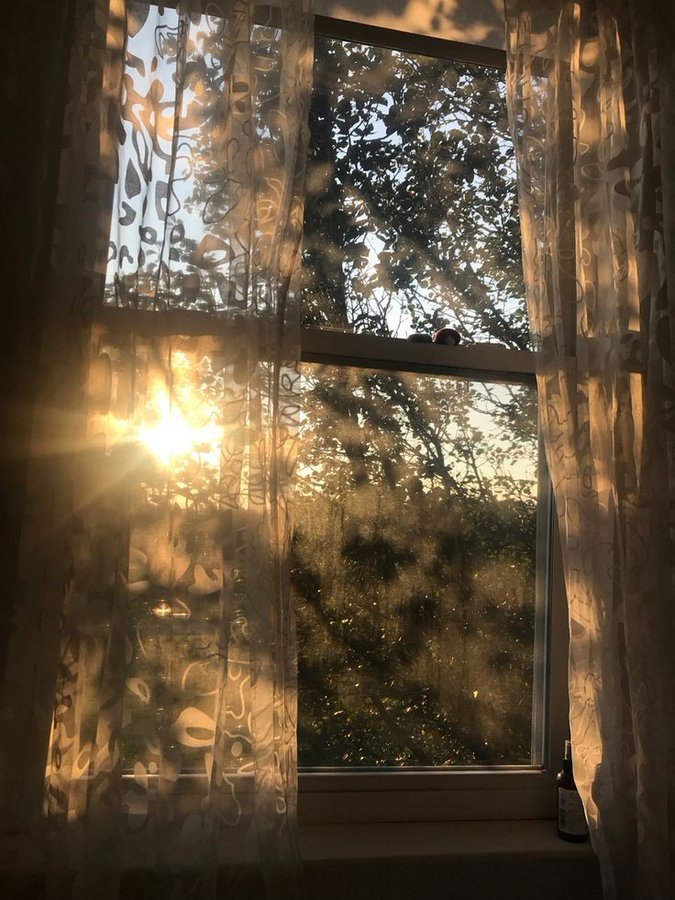 hîv. (@sorrrowfull) on Twitter photo 
