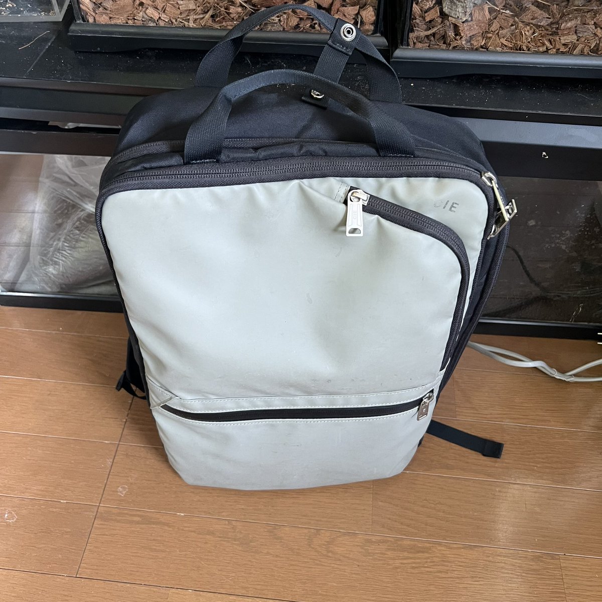 今日の動画を見た人だけ、答えがわかる…
