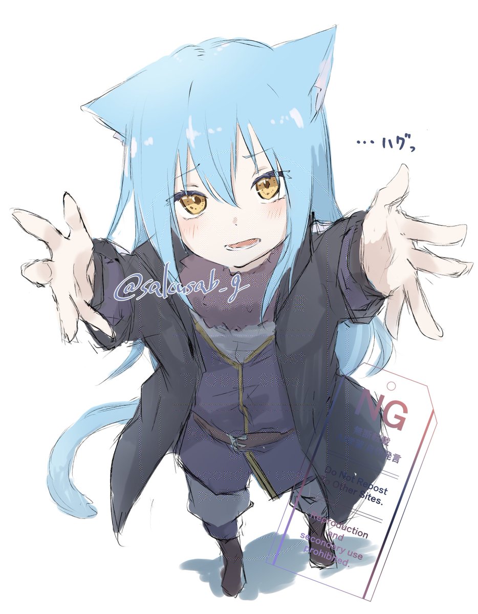 再掲🐱🩵