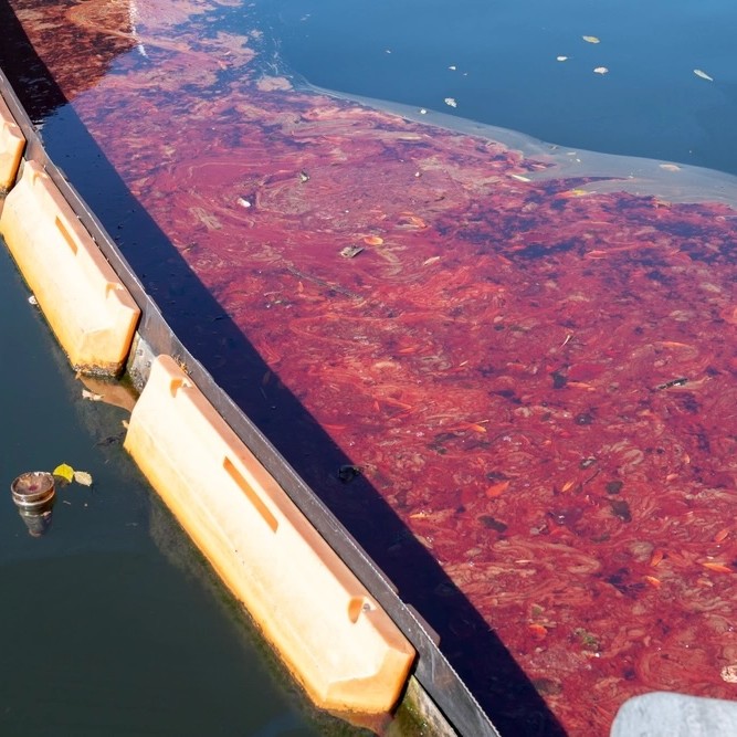 En la base de la Fuerza Aérea de EEUU en Maryland, al menos 121.000 litros de combustible de aviación se han vertido sobre el arroyo Piscataway, que desemboca en el rio Potomac, contaminando gravemente el agua y el ecosistema.

El ejército de EEUU es el mayor contaminador del