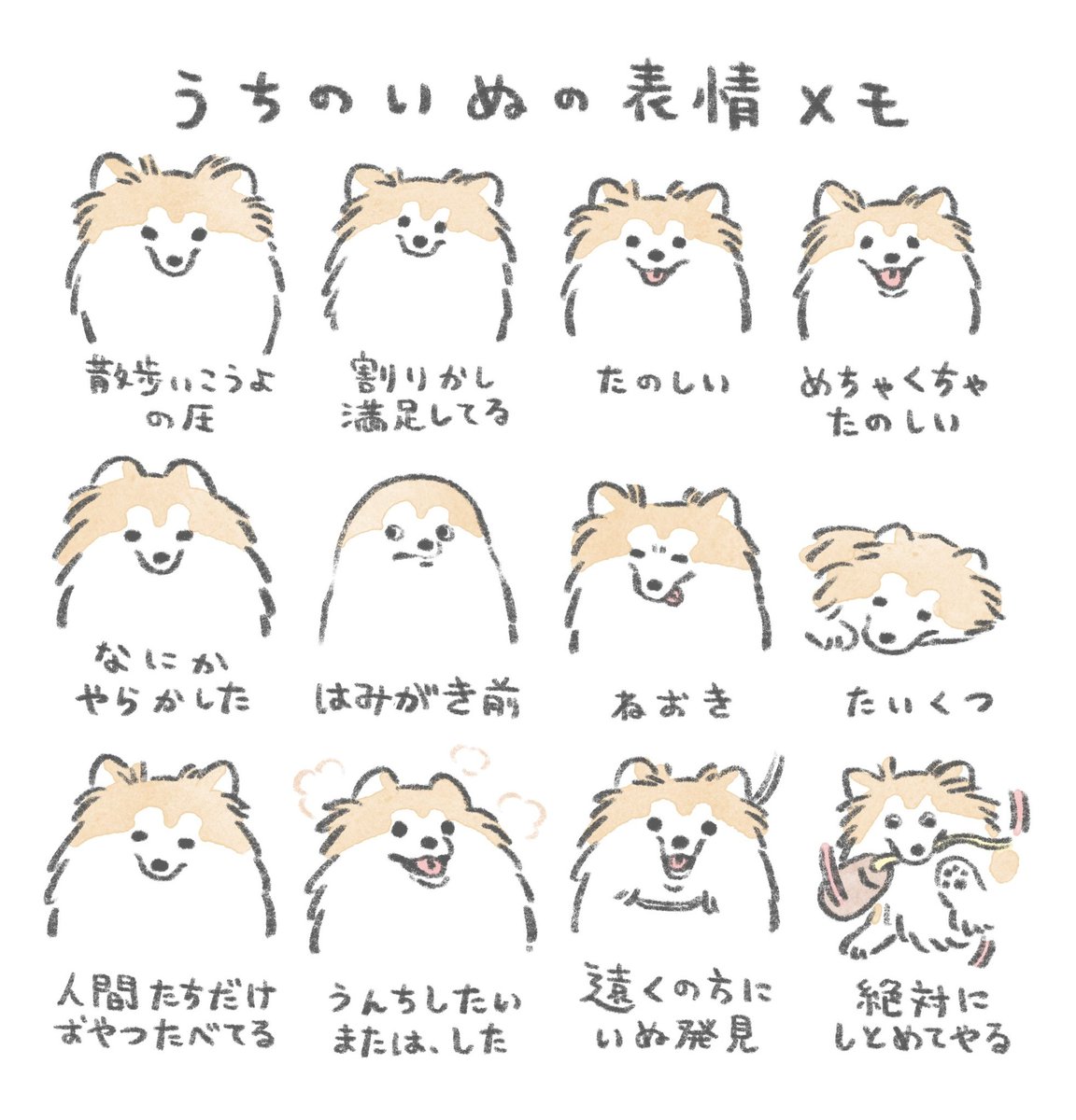 うちのいぬの表情メモです