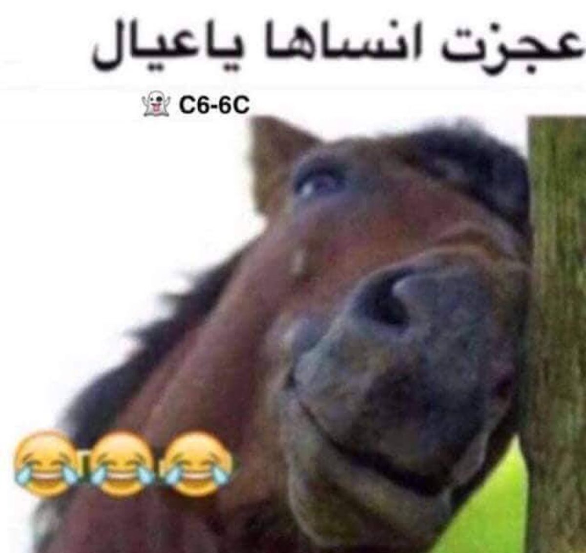 sTmُ🇸🇦 tweet media