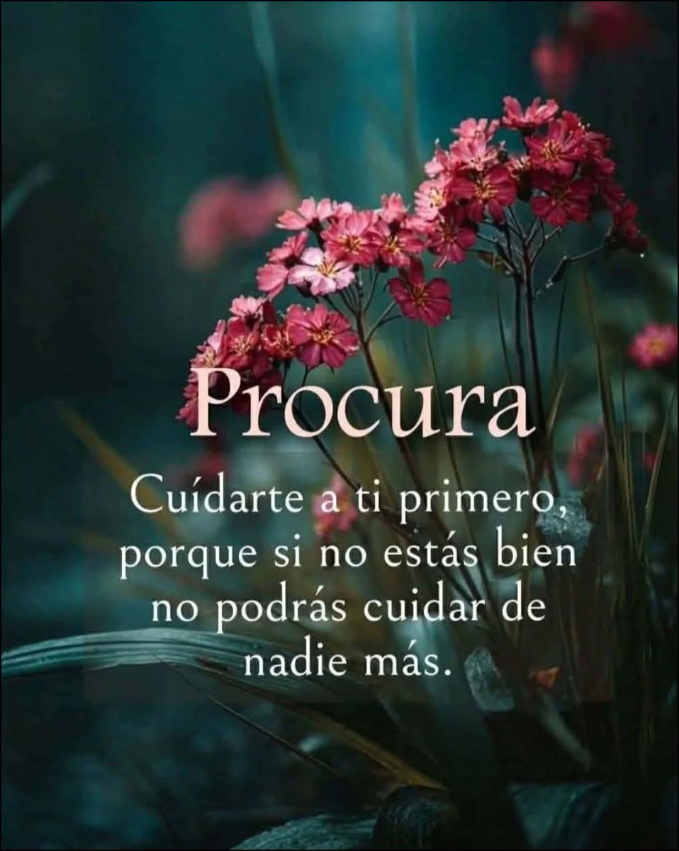 VidaEquilibrada tweet media