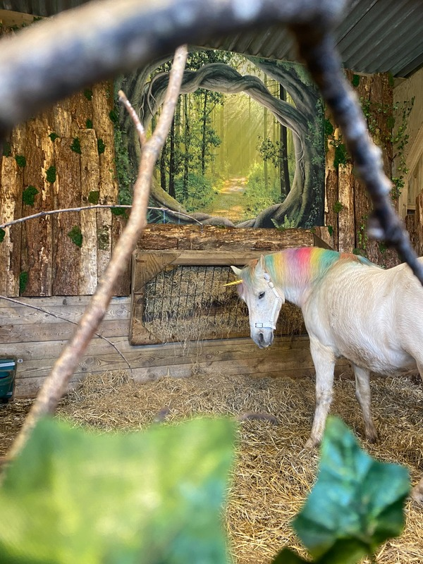 PennywellFarm's tweet photo. This Saturday the magic begins...🦄🌈

Book your tickets for Pennywell's Magical Unicorn Festival here 👉https://t.co/LMebLskSFi https://t.co/KcT0kq4nYm