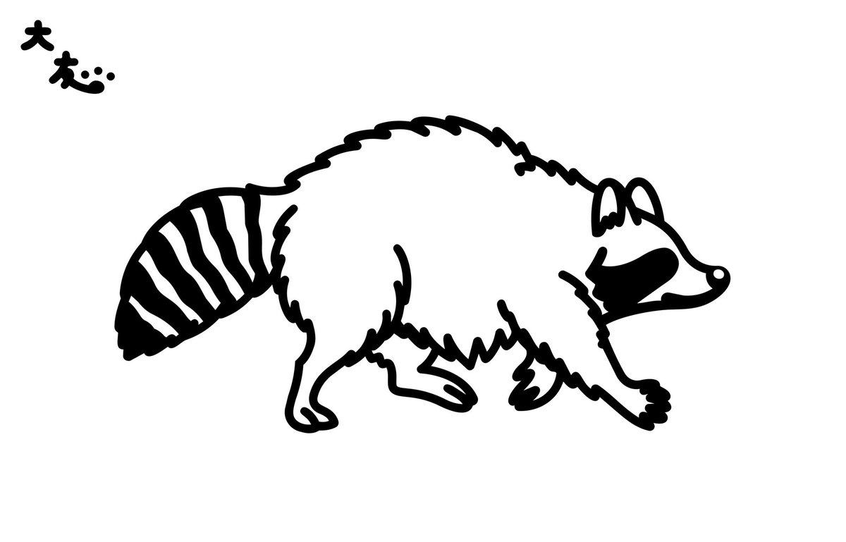 TMW4Iz2VE2TmyVj's tweet photo. 自作絵動物トリビア🐾

#アライグマ

アライグマとタヌキの違いのひとつには、タヌキは地面にある食べ物を直接口に付けて食べるのに対して、アライグマは必ず前足で持ってから食べるといった点が挙げられる🐾

#動物
#イラスト
#百獣画録
#シートン大友 https://t.co/2o9YDxEoiY