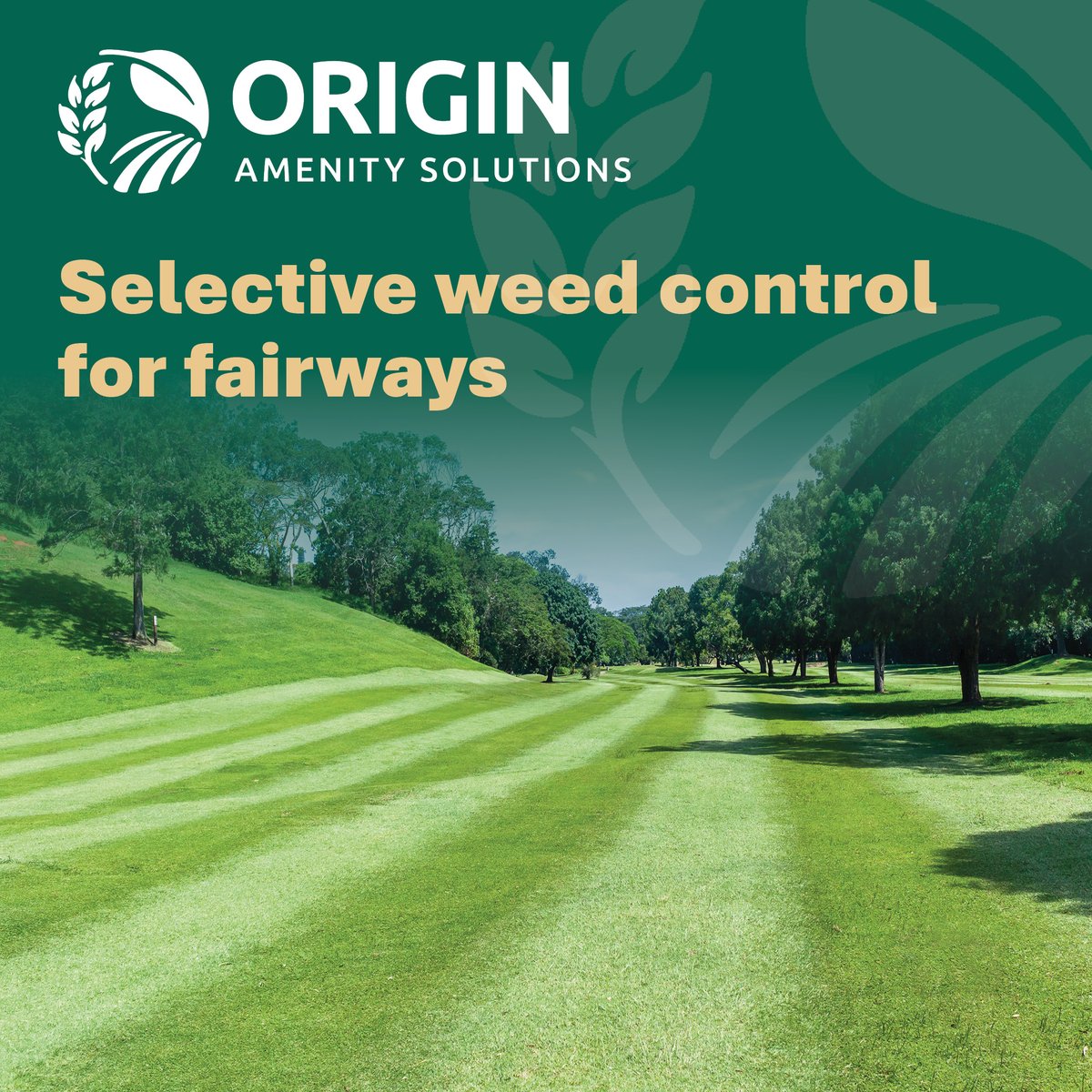 OriginAmenity's tweet photo. 𝐁𝐚𝐥𝐚𝐧𝐜𝐢𝐧𝐠 𝐏𝐞𝐫𝐟𝐨𝐫𝐦𝐚𝐧𝐜𝐞, 𝐏𝐥𝐚𝐲𝐚𝐛𝐢𝐥𝐢𝐭𝐲 𝐚𝐧𝐝 𝐑𝐞𝐬𝐩𝐨𝐧𝐬𝐢𝐛𝐢𝐥𝐢𝐭𝐲

Selective weed control on fairways remains one of the most nuanced challenges in modern turf management. Expectations from golfers continue to rise — clean, consistent lies and uniform surfaces — yet this must now be delivered within tighter regulatory frameworks, environmental scrutiny and budget constraints.

Our PPP Team Leader Mark De Ath discusses modern fairway weed control and offers some top tips on how turf managers can approach a selective strategy in this new article. Read it here 👉 https://t.co/jLw3qtejo3

#OAS #TrustedPeople #TrustedProducts #WeedControl #FairwayManagement