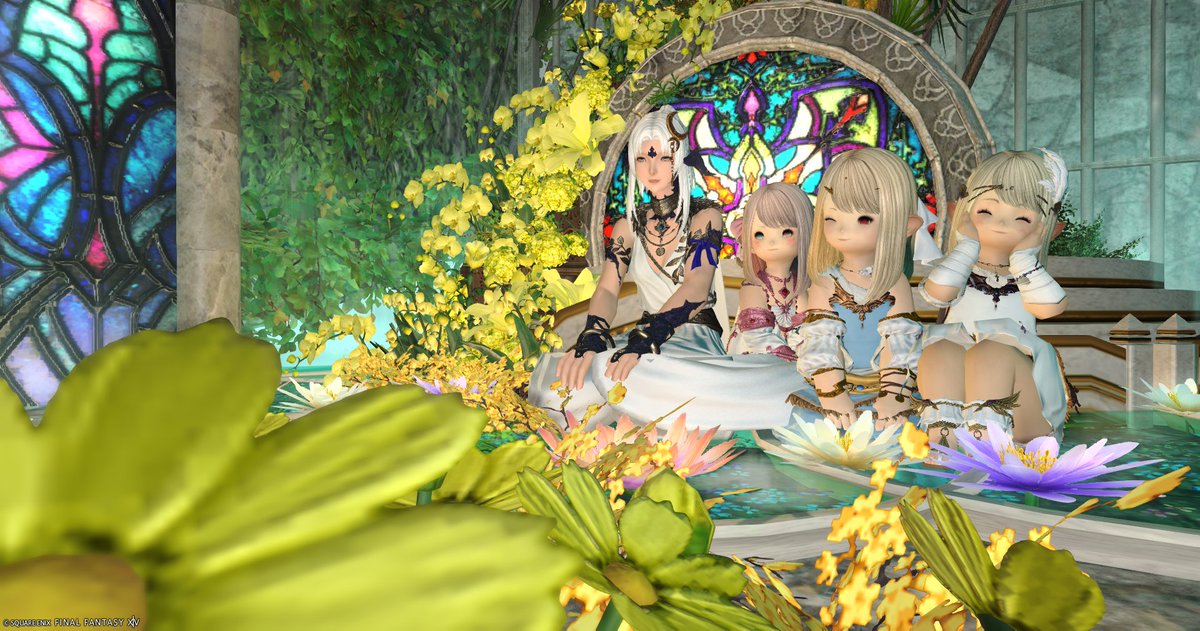 miel_ris's tweet photo. かわいいがぎゅぎゅっと✨ https://t.co/LOv0ejzpZ6